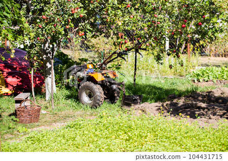 A multifunctional walk-behind tractor stands under an apple tree in summer in sunny weather, industry. Technique for assistance in agriculture. Copy space for text 104431715