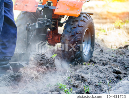 Plowing a garden with potatoes with a walk-behind tractor. Harvesting potatoes in autumn. Plowing the furrow with a motor-block with a plow. Industry Plowing a garden with potatoes with a walk-behind tractor. Harvesting potatoes in autumn. Plowing the furrow with a motor-block with a plow. Industry 104431723
