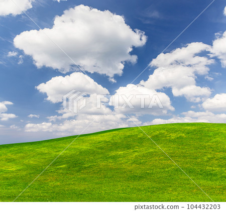 Landscape with green grass field under a blue sky 104432203