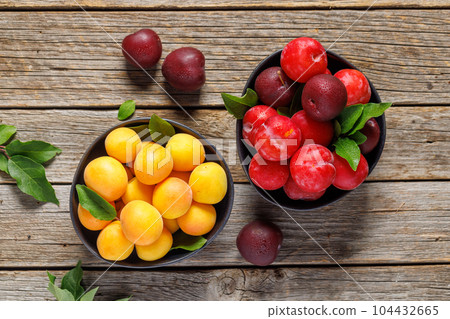 Colorful plums Colorful plums 104432665