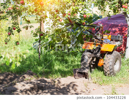 A multifunctional walk-behind tractor stands under an apple tree in summer in sunny weather, industry. Technique for assistance in agriculture. Copy space for text A multifunctional walk-behind tractor stands under an apple tree in summer in sunny weather, industry. Technique for assistance in agriculture. Copy space for text 104433226