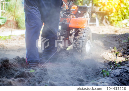 Plowing a garden with potatoes with a walk-behind tractor. Harvesting potatoes in autumn. Plowing the furrow with a motor-block with a plow. Industry 104433228