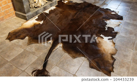 The skin of a wild animal bull lies on the floor. Hunting trophies. The skin of a wild animal bull lies on the floor. Hunting trophies. 104433239