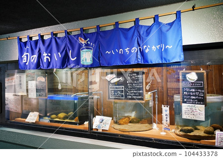 Otaru Aquarium "Seasonal Delicious Tank" Corner Otaru Aquarium "Seasonal Delicious Tank" Corner 104433378