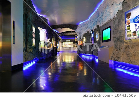 Scenery of Otaru Aquarium Scenery of Otaru Aquarium 104433509