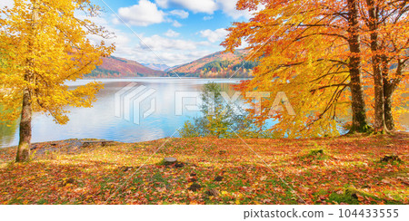 mountain landscape at the lake in autumn. trees in colorful foliage on the shore. beautiful nature scenery on a sunny day with fluffy clouds on the blue sky reflecting on the rippled water surface 104433555