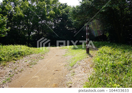 Ishigakiyama overnight castle historical park 104433633