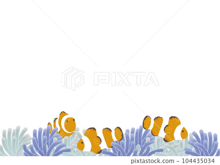 Sea anemone and anemone fish Sea anemone and anemone fish 104435034