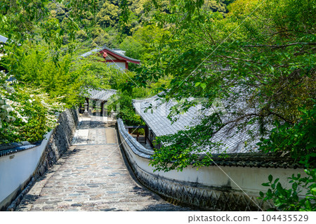 Precincts of Hasedera Temple in Nara Prefecture 104435529