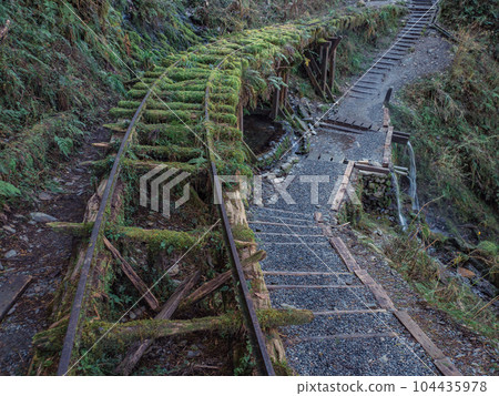 太平山森林遊樂區見晴步道 104435978