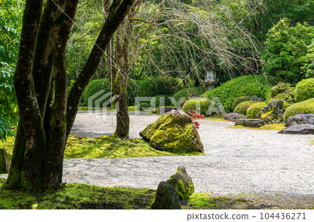 美麗的日本花園外觀 美麗的日本花園外觀 104436271