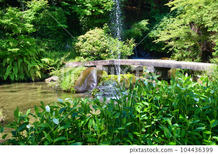 Miyake Hachimangu Shrine Pond and Fountain (Kamitakano, Sakyo Ward, Kyoto City) 104436399
