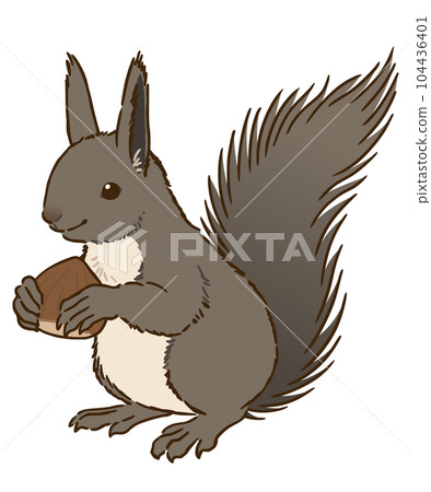Ezo squirrel with chestnut 104436401