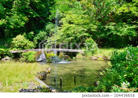 Miyake Hachimangu Shrine Pond and Fountain (Kamitakano, Sakyo Ward, Kyoto City) 104436658