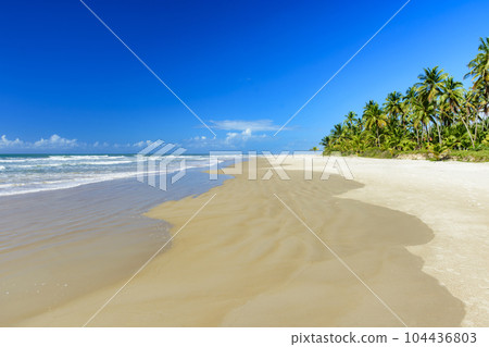 Tropical beach with coconut trees next to the sea Tropical beach with coconut trees next to the sea 104436803
