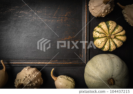 Decorative pumpkins on dark 104437215