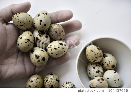 Quail eggs in hand. Food eggs on a white background. Quail eggs in hand. Food eggs on a white background. 104437626