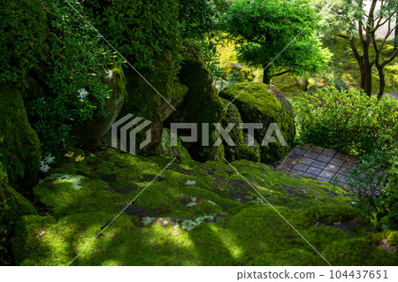 Beautiful Japanese garden exterior 104437651