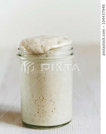 Wheat sourdough starter, copy space, vertical Wheat sourdough starter, copy space, vertical 104437946