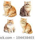fat cat set 104438403