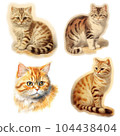 Cat set 104438404