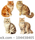 fat cat set 104438405