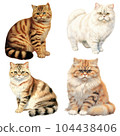 fat cat set 104438406