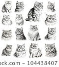 Cat set 104438407