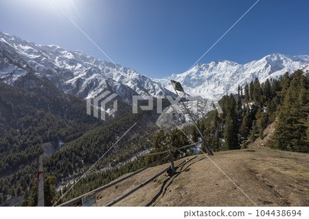 Nanga Parbat is the ninth highest mountain in the world at 8,126 meters, from Fairy Meadows,Gilgit-Baltistan, Pakistan, 104438694
