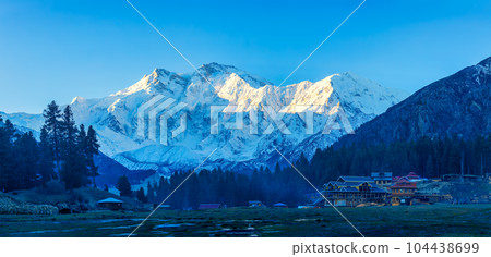 Nanga Parbat is the ninth highest mountain in the world at 8,126 meters, from Fairy Meadows,Gilgit-Baltistan, Pakistan, 104438699