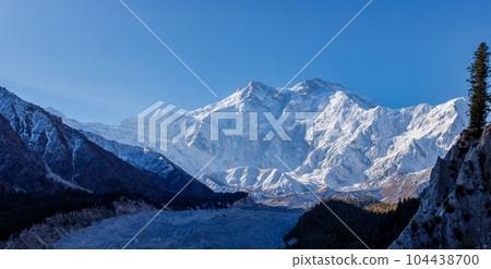 Nanga Parbat is the ninth highest mountain in the world at 8,126 meters, from Fairy Meadows,Gilgit-Baltistan, Pakistan, 104438700