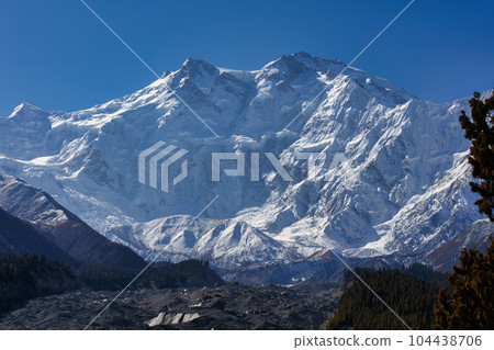 Nanga Parbat is the ninth highest mountain in the world at 8,126 meters, from Fairy Meadows,Gilgit-Baltistan, Pakistan, 104438706