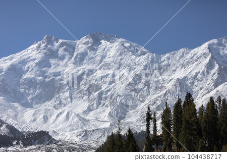 Nanga Parbat is the ninth highest mountain in the world at 8,126 meters, from Fairy Meadows,Gilgit-Baltistan, Pakistan, 104438717