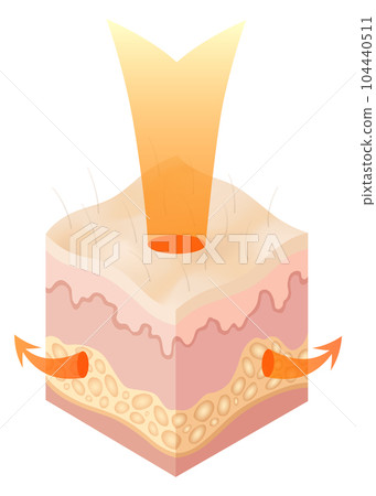 Protection uv ray skin. Illustration about Skin care concept. Sun protection body adipose layers epidermis, vector infographic 104440511