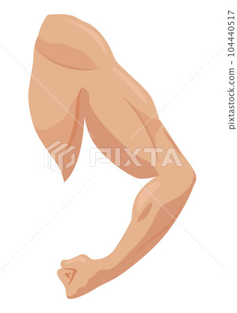Male biceps muscles icons set. Sportsman arm with strong biceps. Vector symbol of healthy power. Athletic body with tense muscles hand isolated onwhite background 104440517