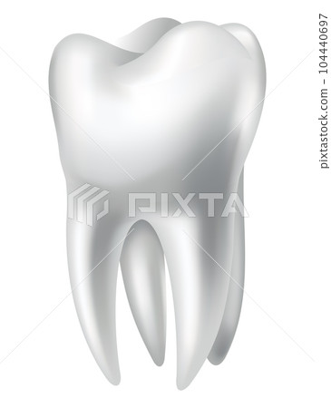 Tooth anatomy. Medical banner or poster illustration. Realistic white tooth mockup. Vector dental symbol. Healthy white tooth Tooth anatomy. Medical banner or poster illustration. Realistic white tooth mockup. Vector dental symbol. Healthy white tooth 104440697