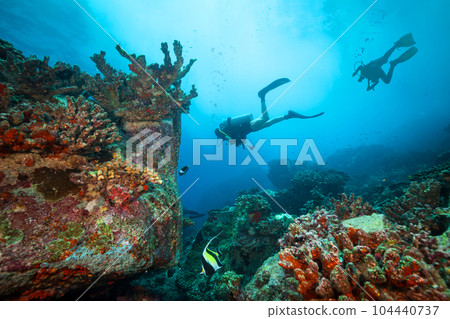 Couple of scuba divers exploring coral reef. Couple of scuba divers exploring coral reef. 104440737