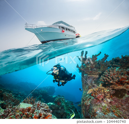 Under and above water surface view of woman scuba diver. 104440740