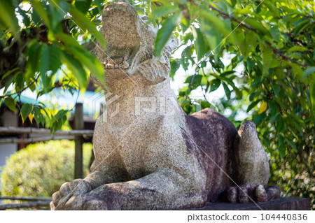 Early summer at Kokuzo Horinji Temple, Agata no Tora barking under the fresh green of winter cherry blossoms Early summer at Kokuzo Horinji Temple, Agata no Tora barking under the fresh green of winter cherry blossoms 104440836