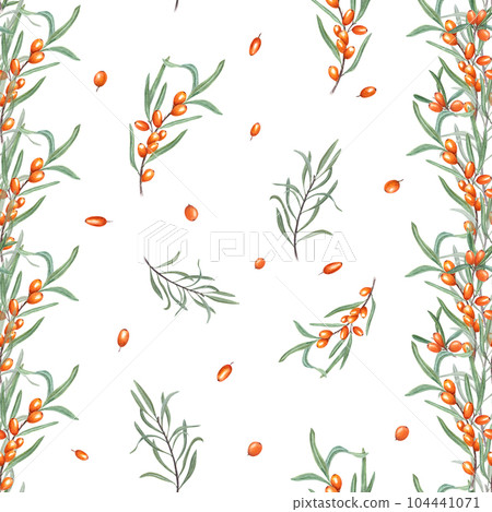 Watercolor seamless pattern of sea buckthorn branch isolated on white background. Botanical illustration with orange berries and green leaves for room decor, print, postcards, textile design. 104441071