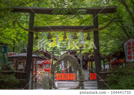 Early summer at Nonomiya Shrine, "Chinowa" of Nagoshi-no-harae Early summer at Nonomiya Shrine, "Chinowa" of Nagoshi-no-harae 104441730