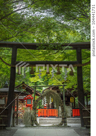 Early summer at Nonomiya Shrine, "Chinowa" of Nagoshi-no-harae 104441731