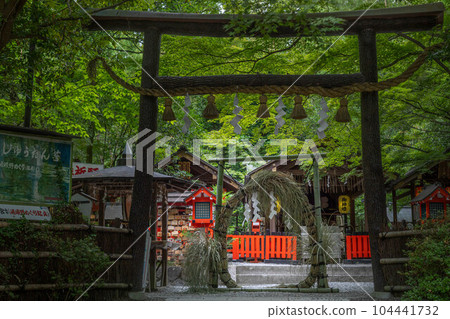 Early summer at Nonomiya Shrine, "Chinowa" of Nagoshi-no-harae 104441732