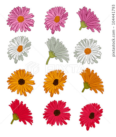 Set of hand drawn outline gerberas blooming heads Set of hand drawn outline gerberas blooming heads 104441793