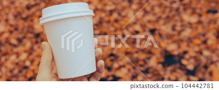 Unrecognizable woman hand holding Eco zero waste white paper cup copy space mockup. Fall leaves and cup of tea coffee to go next to autumn nature. Unite with nature Unrecognizable woman hand holding Eco zero waste white paper cup copy space mockup. Fall leaves and cup of tea coffee to go next to autumn nature. Unite with nature 104442781
