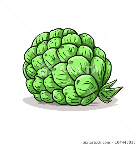 Custard apple hand-drawn illustration. Custard apple. Vector doodle style cartoon illustration 104443035