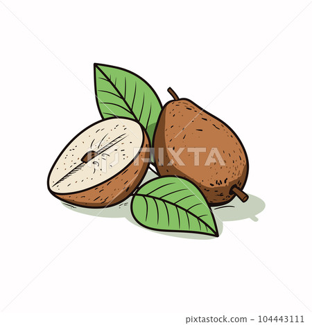 Chikoo hand-drawn illustration. Chikoo. Vector doodle style cartoon illustration 104443111
