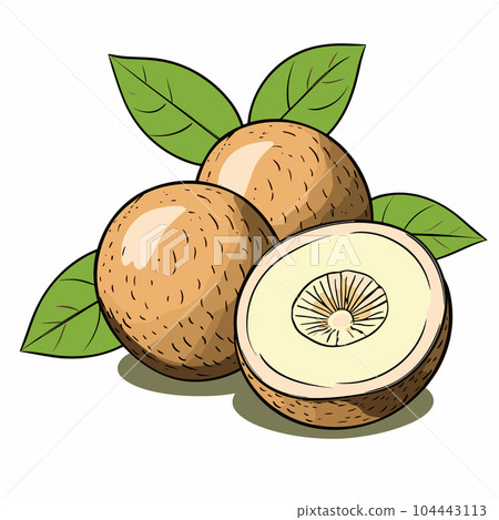 Chikoo hand-drawn illustration. Chikoo. Vector doodle style cartoon illustration 104443113
