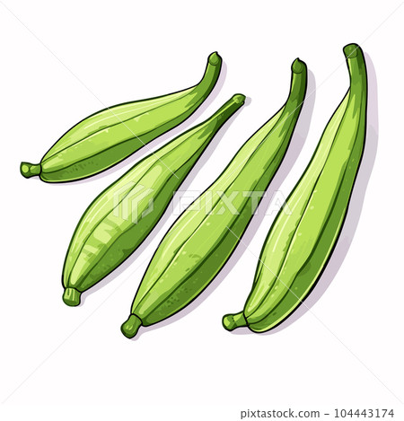 Okra hand-drawn illustration. Okra. Vector doodle style cartoon illustration Okra hand-drawn illustration. Okra. Vector doodle style cartoon illustration 104443174