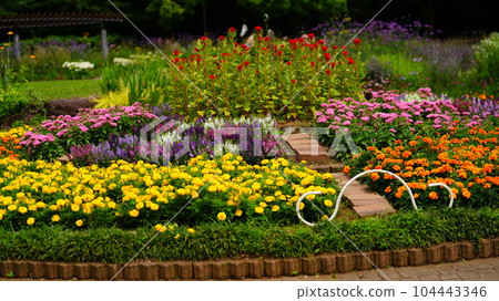代代木公園誕生了色彩繽紛的花壇 代代木公園誕生了色彩繽紛的花壇 104443346